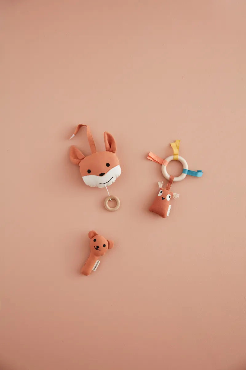 Activity Ring Ove