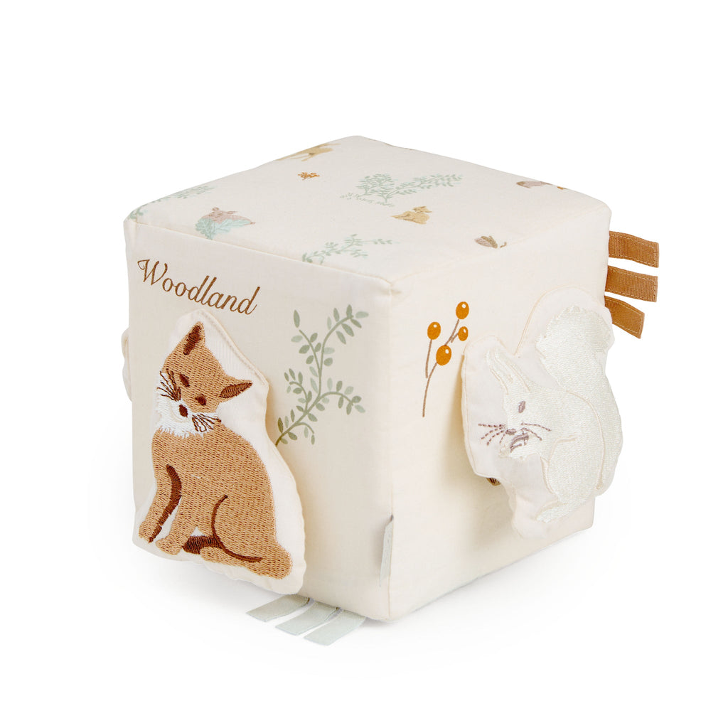 Activity Cube OCS Woodland