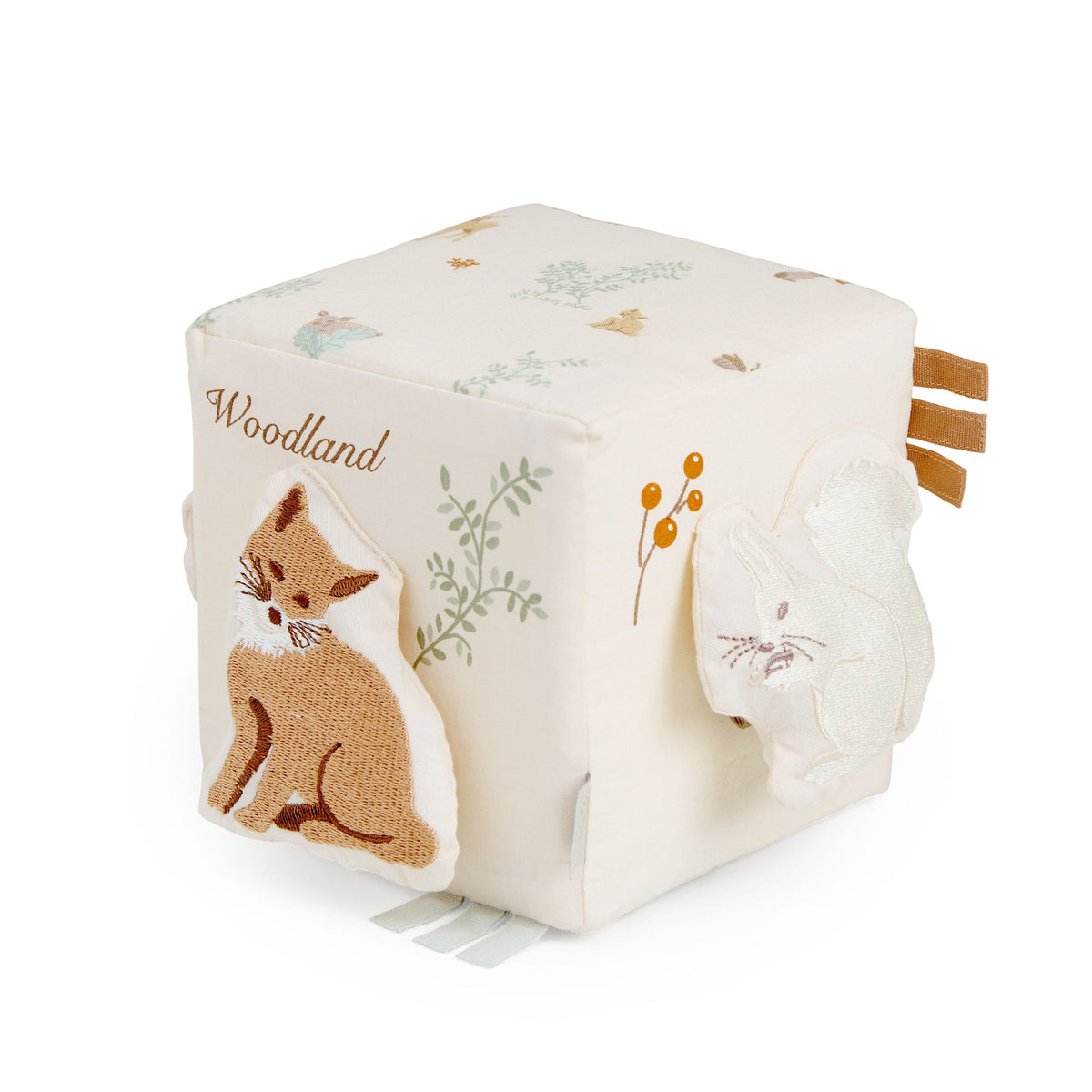Activity Cube OCS Woodland