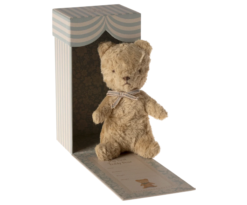 Mein erster Teddy -Sand