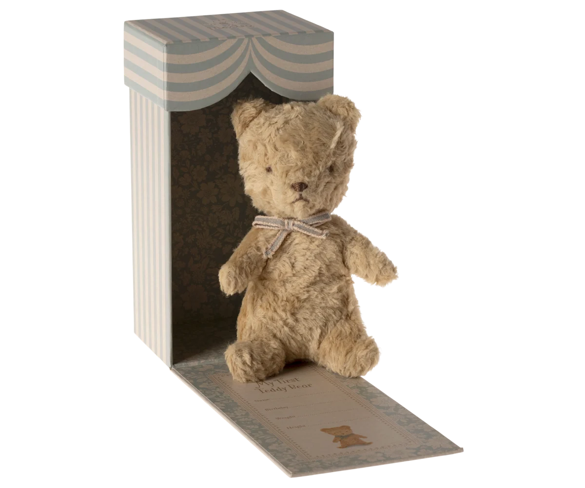 Mein erster Teddy -Sand