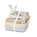 Geschenkkorb zur Geburt Classic Blue Stripes