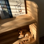 Bookshelf "Curvy Bookcase"