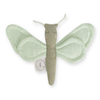 Aktivitätsspielzeug Schmetterling Aloe Vera