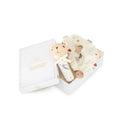 Baby Essentials Geschenkbox Carousel