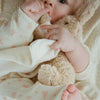 Fanga Fontana Kuscheltier Hase Piccobino Oyster Grey bei Yay Kids