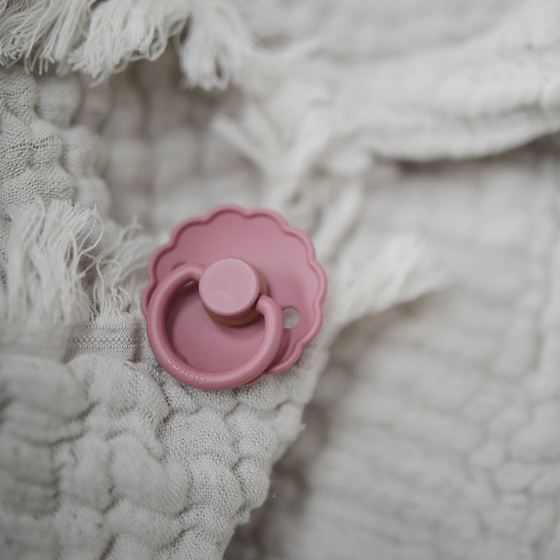 Frigg Baby Nuggi Latex Daisy Woodchuck bei Yay Kids