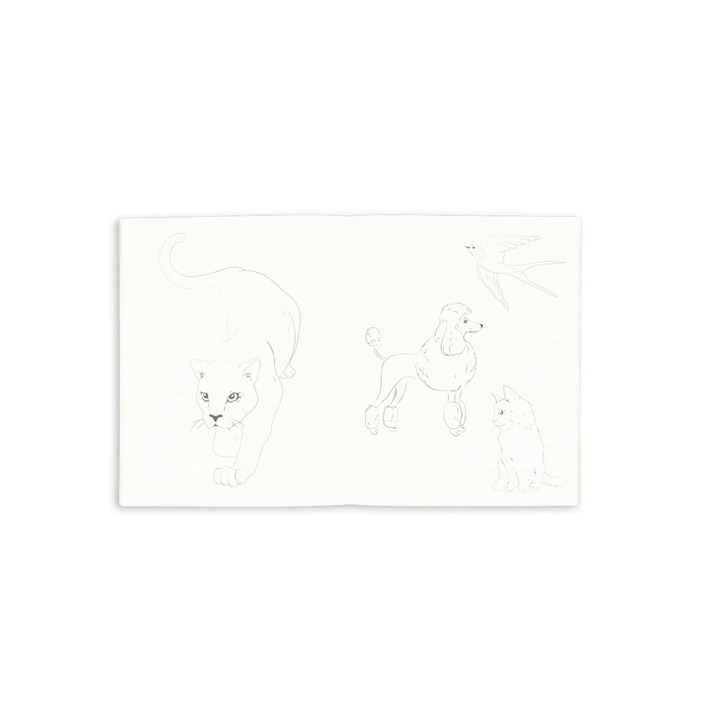 Konges Sløjd Malbuch und Buntstifte Set Green Tea Check bei Yay Kids