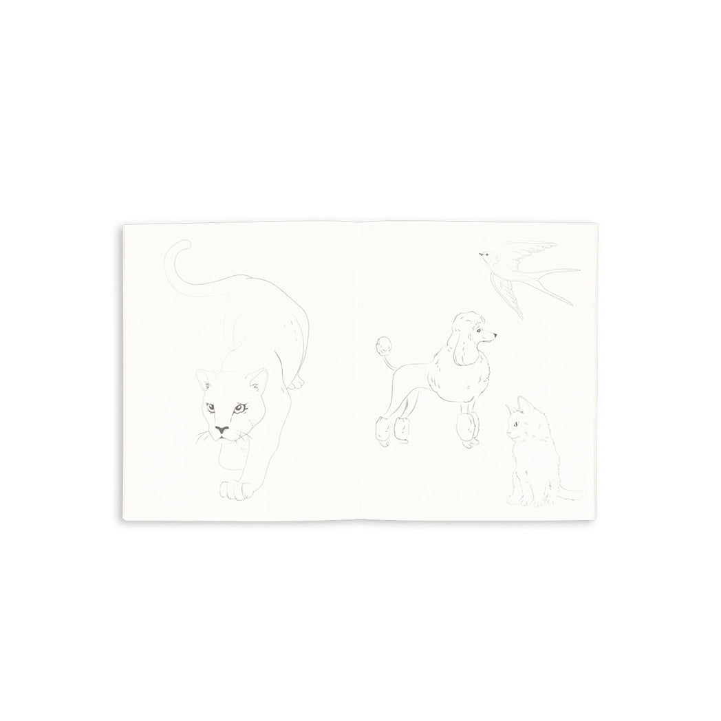 Konges Sløjd Malbuch und Buntstifte Set Green Tea Check bei Yay Kids