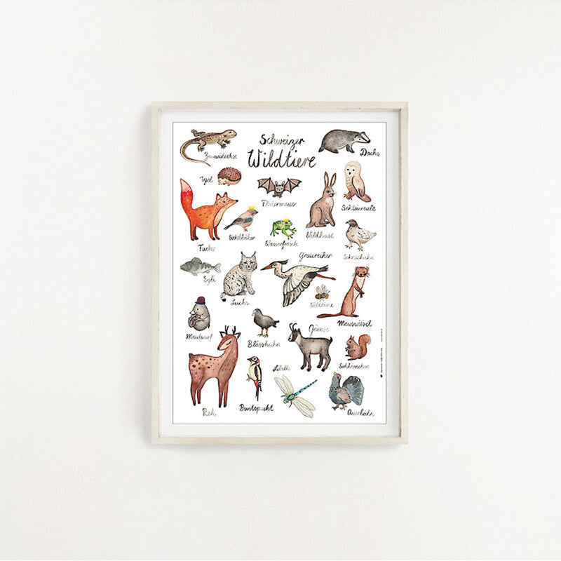 Ma'Loulou Kinder Poster A4 Schweizer Wildtiere bei Yay Kids