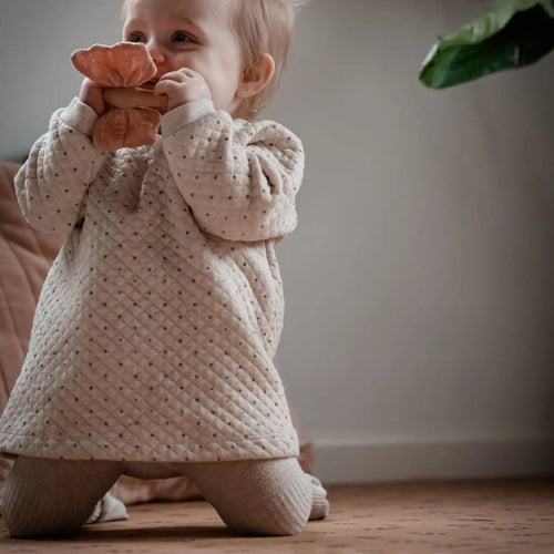 Butterfly Teether