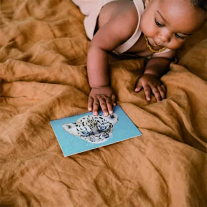 Nuukk Postkarte Fuchs bei Yay Kids