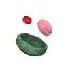 Stapelstein® Blush Special Trilogy Set bei Yay Kids