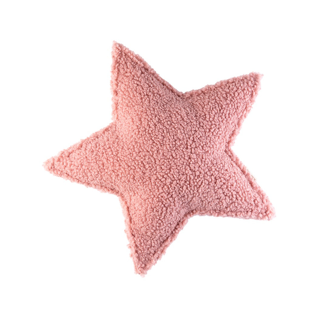 Star Teddy Pillow