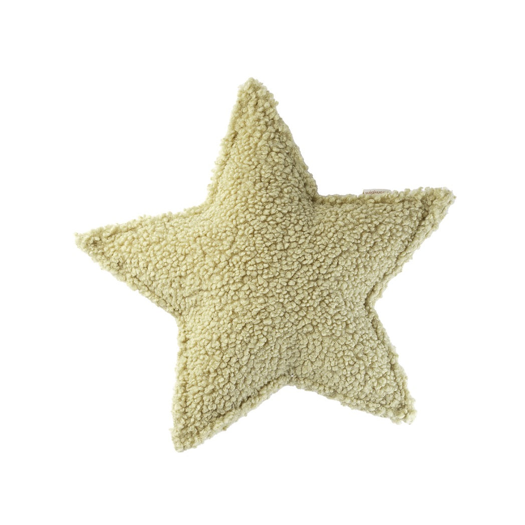 Star Teddy Pillow