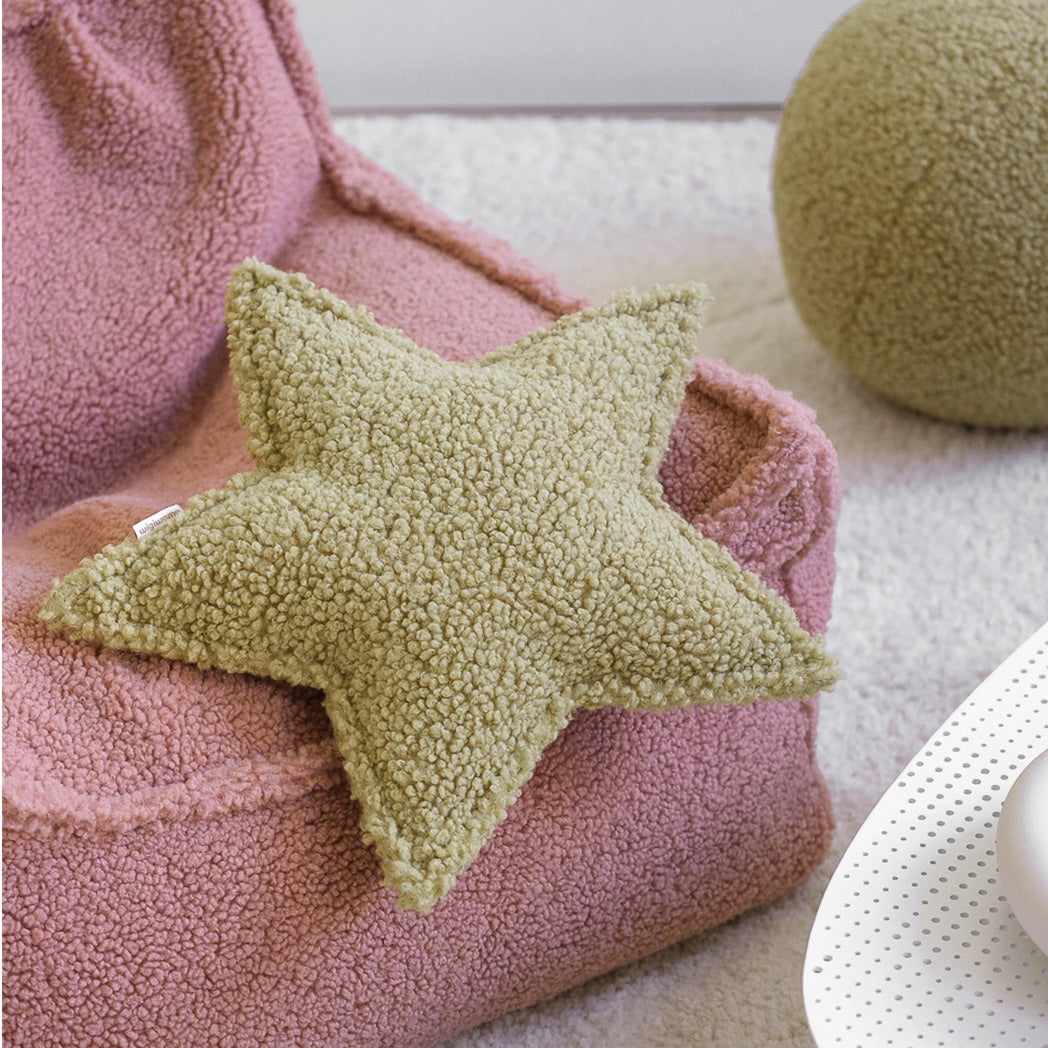 Star Teddy Pillow