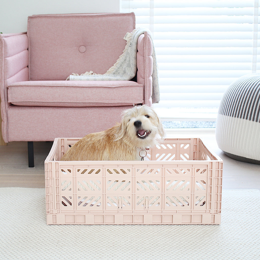 Ay-Kasa Faltbox Folding Crate Maxi Milk Tea bei Yay Kids