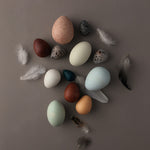Moon Picnic Holzspielzeug A Dozen Bird Eggs bei Yay Kids
