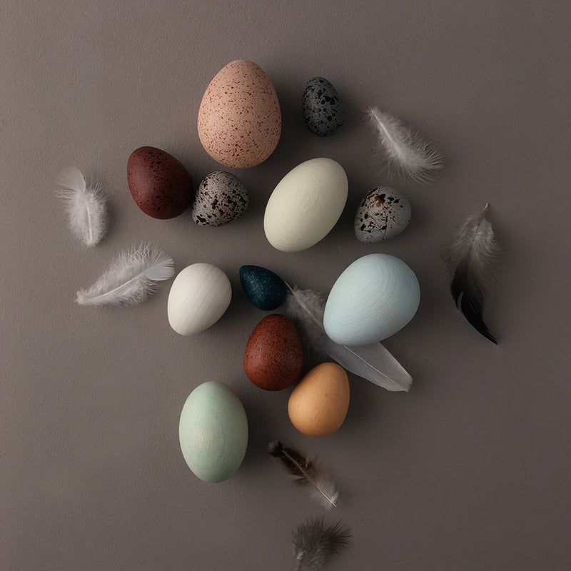 Moon Picnic Holzspielzeug A Dozen Bird Eggs bei Yay Kids
