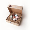 Moon Picnic Spielzeug Holzeier A Dozen Bird Eggs bei Yay Kids