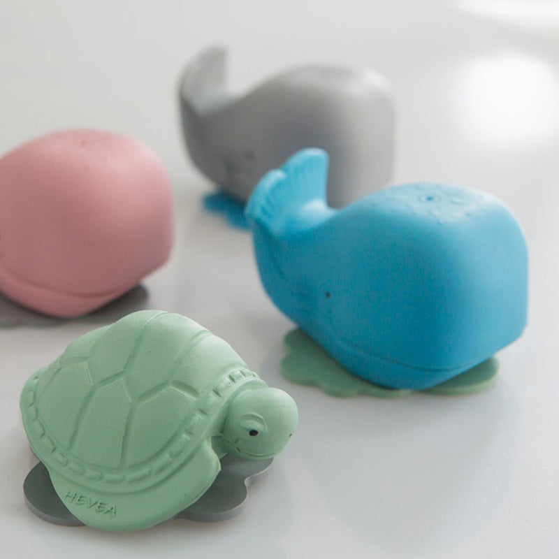 Hevea Baby Badespielzeug Walfisch Harald Naturkautschuk bei Yay Kids