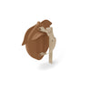 Konges Slojd Baby Spiegel Almond bei Yay Kids