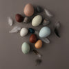 Moon Picnic Spielzeug Holzeier A Dozen Bird Eggs bei Yay Kids