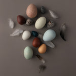 Moon Picnic Spielzeug Holzeier A Dozen Bird Eggs bei Yay Kids