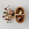 Moon Picnic Spielzeug Holz Pilze im Korb bei Yay Kids