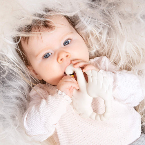 Teething ring rubber swan