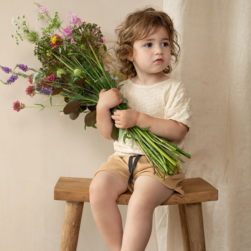 Phil & Phae Baby Shorts mellow apricot gerippt bei Yay Kids